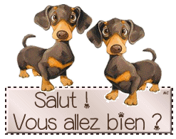 Gif animé salut vous allez bien